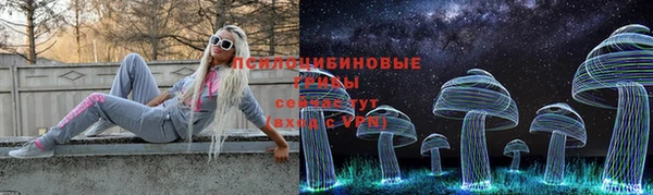 шишки Саяногорск